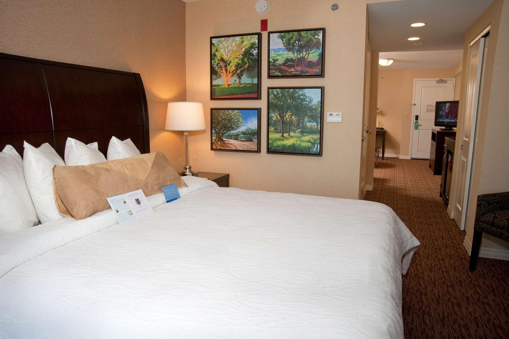 Hilton Garden Inn St. Louis Airport Berkeley Exterior photo